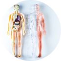 Medical Visuals